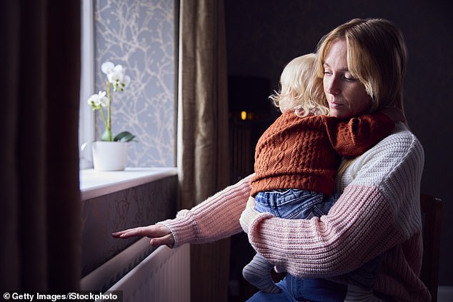 Money concerns such as childcare costs and housing affordability were also seen as important considerations before children were born (stock image)