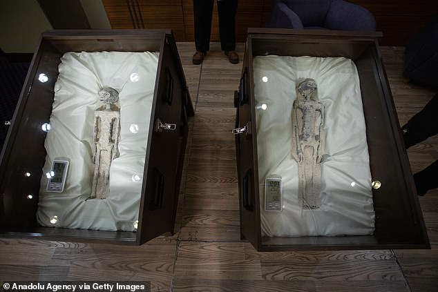 Maussan and some Mexican lawmakers became the subject of international ridicule in September when he presented two boxes of alleged mummies found in Peru.