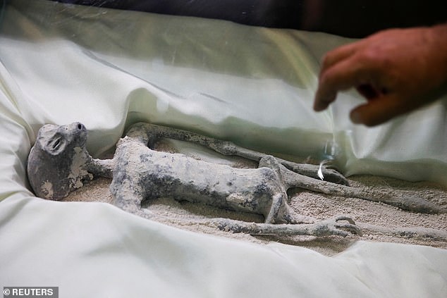 The researchers made extraordinary claims that the corpses, presented in windowed boxes and supposedly recovered in Cusco, Peru, were not part of 'our Earth evolution', with 30 percent of their genetic makeup still 'unknown'.