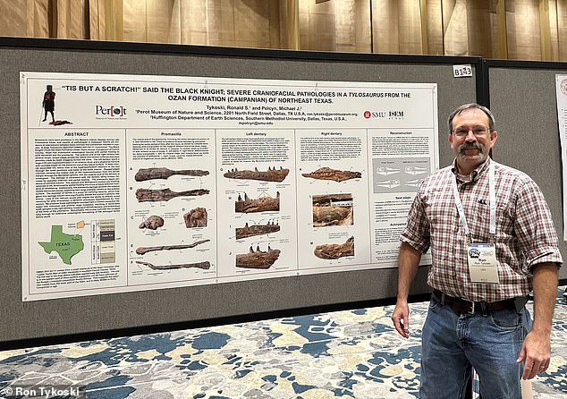 Tykoski, who serves as vice president of science at the Peru Museum of Nature and Science, described in detail the process he, Contreras, and Noto went through to confirm that the jaw belonged to a new species of dinosaur.