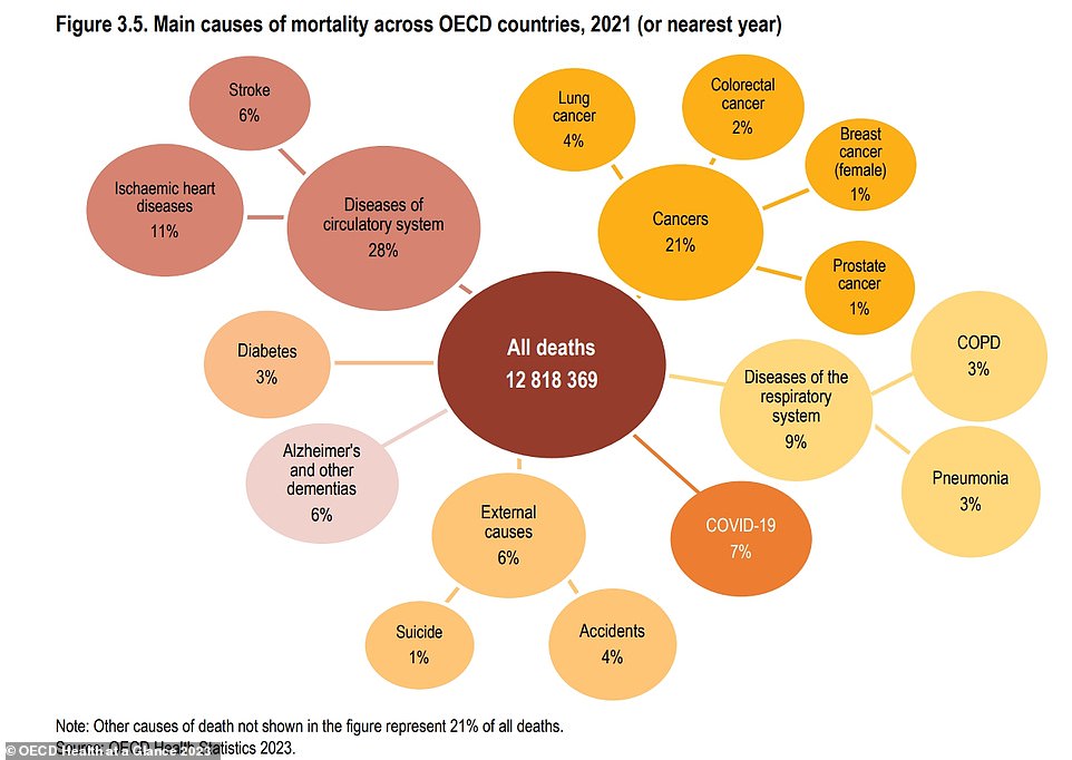 Above you see the percentages of causes of death around the world.  Circulatory diseases were responsible for 28 percent of deaths worldwide, while cancer was responsible for 21 percent.  Covid was responsible for seven percent of deaths