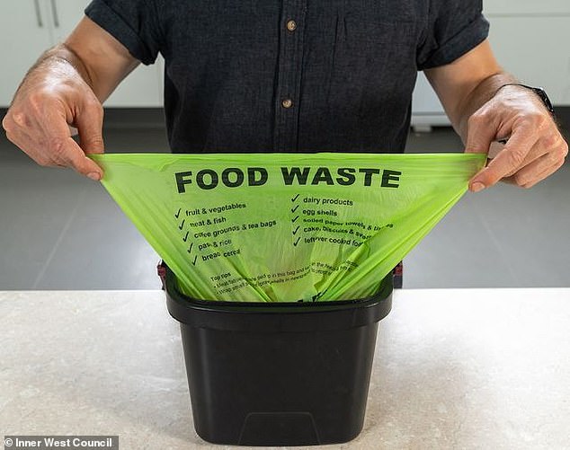 Residents blame the recent introduction of bins for organic food and organic garden produce (FOGO, pictured), which have replaced weekly collections