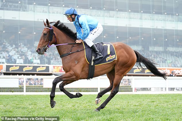 Basilinna (pictured) is among the top three odds to knock out the Oaks race on Thursday, according to one of Australia's leading bookmakers