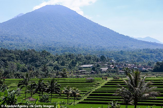 Many tourists choose to rent a motorcycle to explore the island because it is cheap and convenient, but they also expose themselves to the risk of accidents and injuries