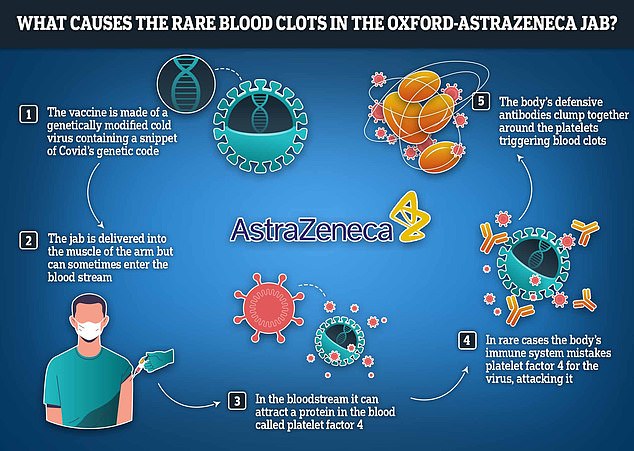 In a very small number of cases - around one in 100,000 in Britain - the vaccine can cause a chain reaction that causes the body to mistake its own platelets for virus fragments.