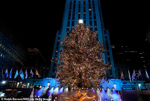 The decorations will be as breathtaking as in years past, with the tree of the year covered in 50,000 multi-coloured LED lights cascading over the carefully chosen Norway spruce.