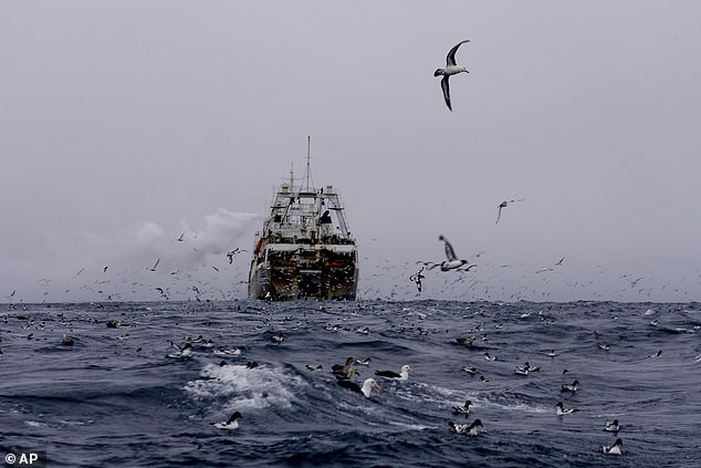 The National Science Foundation published a report in 2022 showing that 59% of women said they had experienced harassment or assault while stationed in Antarctica, and 72% of women said such behavior was a problem at the bases.