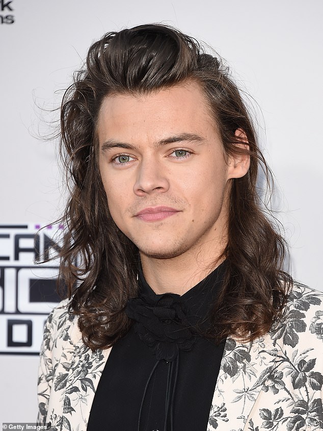 Long hair: Styles is known for his luscious dark brown curls (seen in 2015)