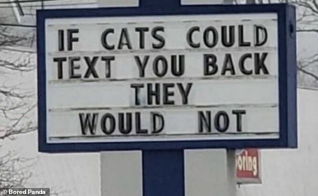 One sign in the US states that even if cats could text you, they probably wouldn't