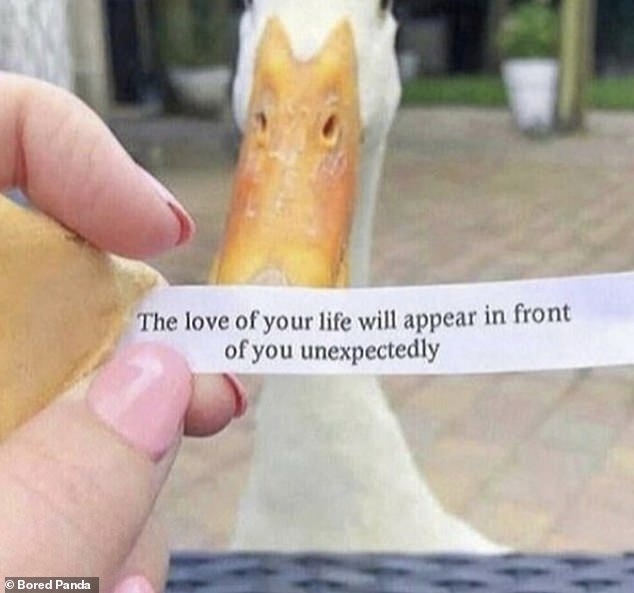 Oops!  This woman received an uplifting fortune in a fotune cookie, but it didn't go as planned