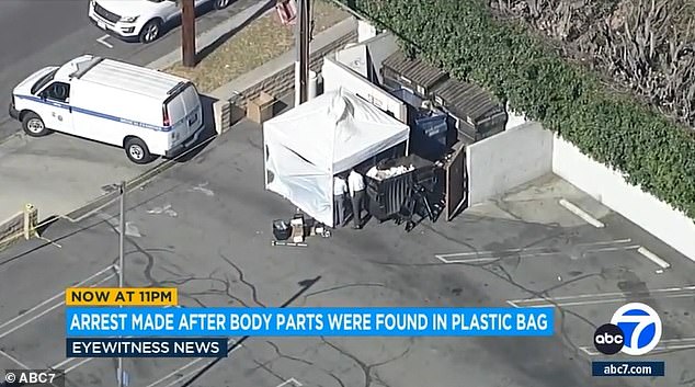 The torso was found early Wednesday morning in Encino, California after a call to police about human remains in a black plastic bag