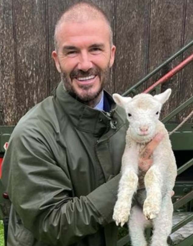 Hi there: The former footballer, who recently sported a new buzzcut (pictured), kept warm by covering his head with a flat cap as he watched the match