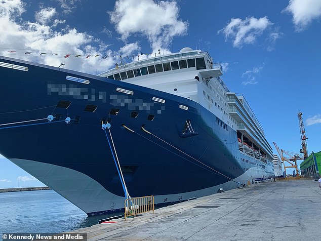 Tracy Rawlins had spent an 'amazing' week celebrating her 30th wedding anniversary on a cruise with her husband before she said she was burned on her return flight from Barbados to Birmingham on February 26 this year (cruise ship pictured)