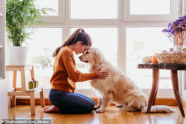 Pets carry certain bacteria that can contaminate food