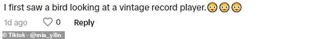 Twenty comments were left by curious fans who identified with Mia's interpretations - with the majority agreeing that they could all see the same object first