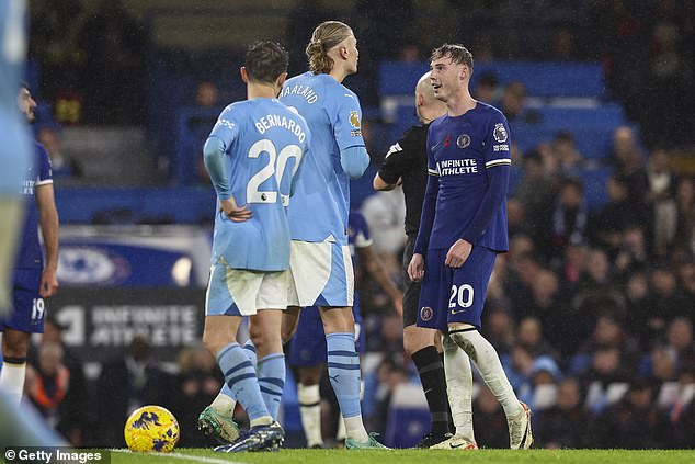 Palmer admitted he enjoyed playing against some of his former City teammates at Stamford Bridge