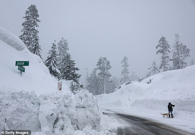 Snow in the Sierra Nevada Mountains after an atmospheric river event in March 2023 in Mammoth Lakes, California