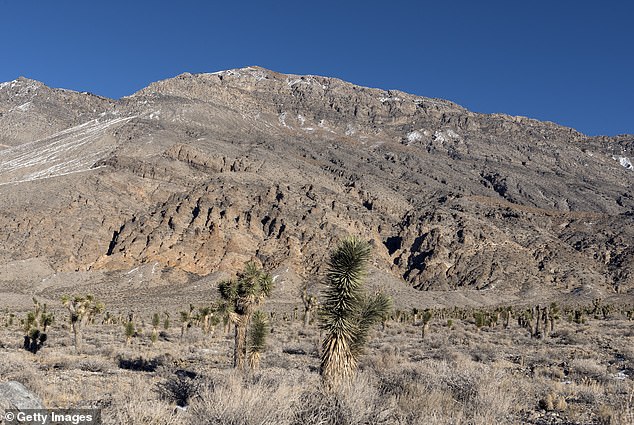 Most people who live in California City work at Edwards Air Force Base or a nearby prison