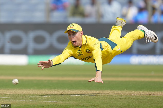 Labuschagne has been fortunate to play in every match during the World Cup despite not being included in the first squad