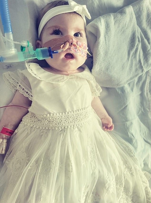 Indi Gregory's parents have lost the legal battle in London to continue their baby's treatment