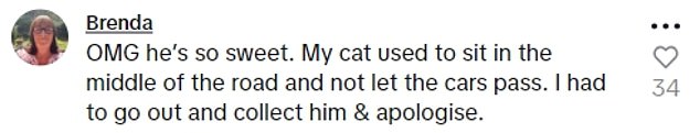 Many people shared similar stories about their own cats, with one saying: 'My cat is exactly the same.  I can't take the dog for a walk without the cat lol'