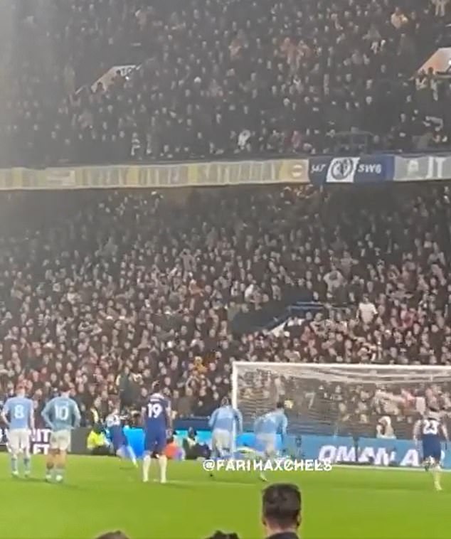 Kovacic (below right) was filmed appearing to punch his fist in the air after Palmer scored