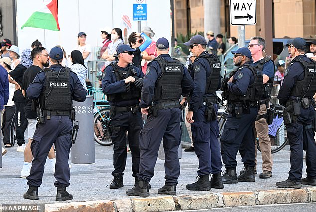 NSW Premier Chris Minns explained that the large number of police required at a protest is expensive and has a crippling impact on the NSW Police Force
