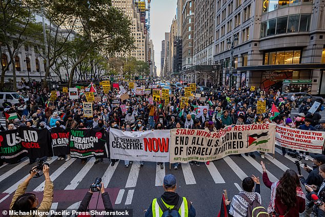 Pro-Palestinian protesters are seen in New York City on November 9