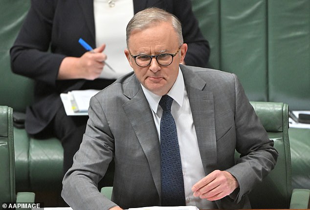 The Albanian government was accused of releasing 80 'hard criminals' into the community during Question Time on Tuesday (photo, Anthony Albanese in Parliament)