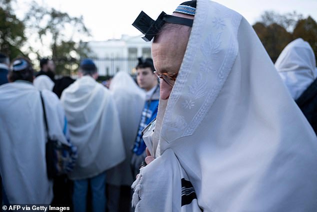 People from all over the country travel to the 'March for Israel' on the National Mall