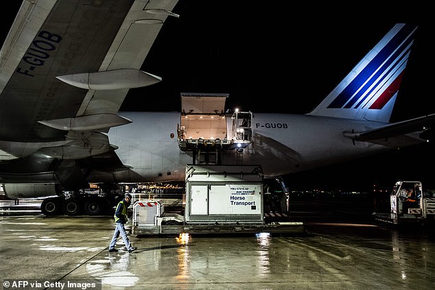 According to the private YouTube channel, the flight crew was forced to dump approximately 20 tons of fuel near Martha's Vineyard while returning to New York (stock image)