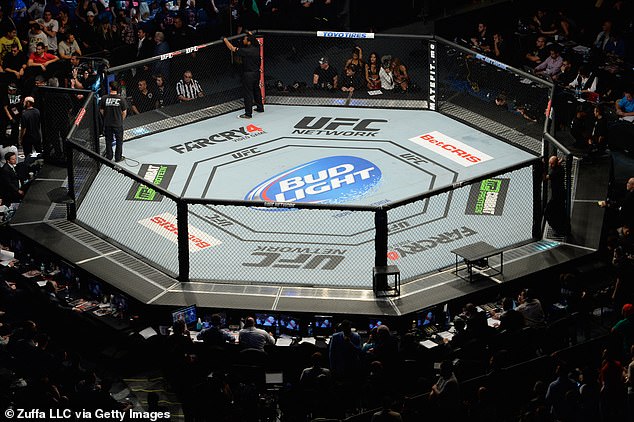 Bud Light's investment will give the company a significant presence in the octagon