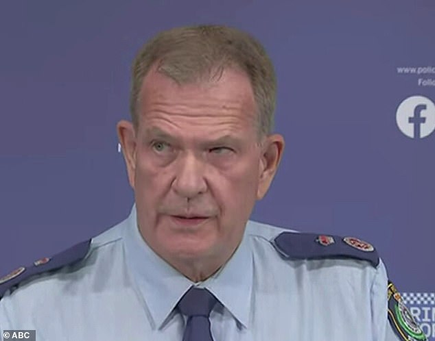 NSW Police Deputy Commissioner David Hudson (pictured) indicated the raids had resulted in the syndicate being 'significantly disrupted, if not eliminated'