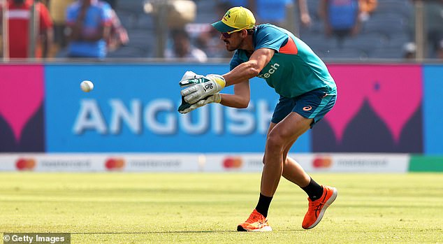 Starc - who was a junior wicketkeeper before returning to pace bowling - recently took the opportunity to work with Alex Carey pre-game with the gloves (pictured)