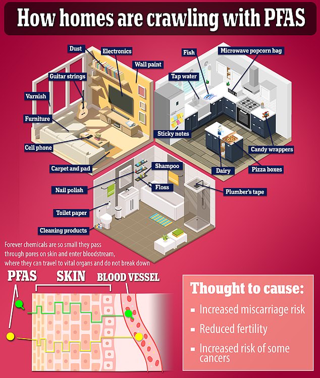 Forever chemicals can be found in every corner of a typical American home