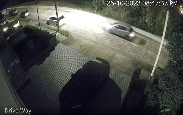 Thijssen is caught on CCTV in the driveway of the parental home and drives past at 8:47 pm before dumping the murder weapon and ultimately committing suicide.