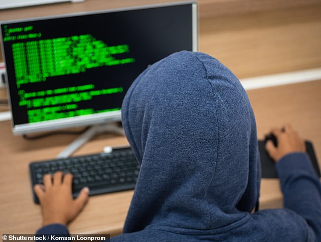 Hacking threat: The company's independent researchers analyzed password usage in some 35 countries around the world, while also studying how malware attacks can pose a huge threat to people's safety online (stock image)