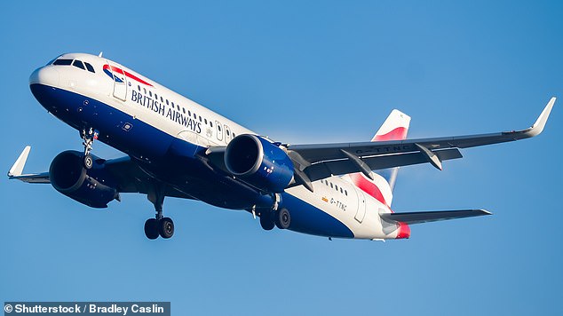 A British Airways flight (file photo) bound for London was delayed for a day after the crew claimed to have been robbed in Rio de Janeiro