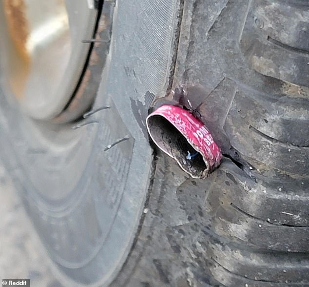 One driver shared a photo of a fume stuck in his car on Reddit