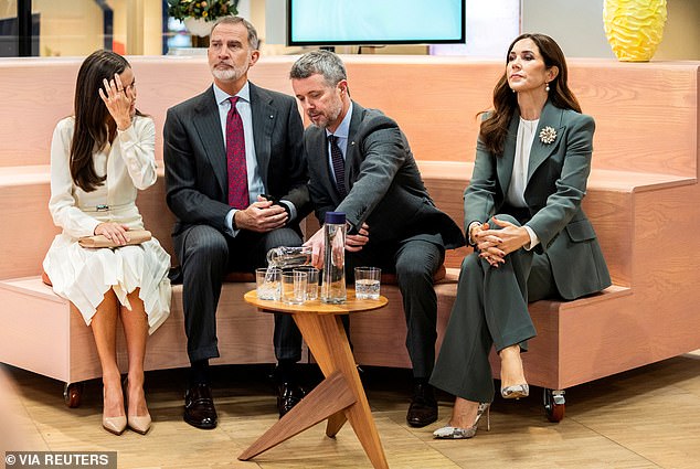 Spanish King Felipe and Queen Letizia, and Danish Crown Prince Frederik and Crown Princess Mary are pictured together in Copenhagen, Denmark on November 8, just days after rumors of an affair were made public