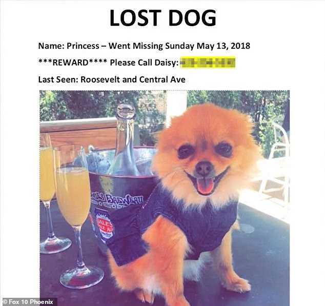 Gonzalez believed Princess was “gone forever” in 2018 and that her entire family was “devastated” by her disappearance.  They went looking for the beloved puppy and covered their city with flyers