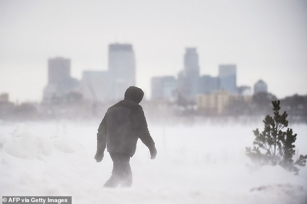 The shift is having a major impact on weather patterns around the world - and this year's El Niño is expected to be the strongest since 2015 - which saw the warmest US winter on record (photo: a man takes a walk in front of the skyline Minneapolis at Bde Maka Ska Park during a snowstorm in Minneapolis, Minnesota, on February 22, 2023)