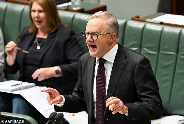 Anthony Albanese criticized the opposition leader on Wednesday (photo in parliament)