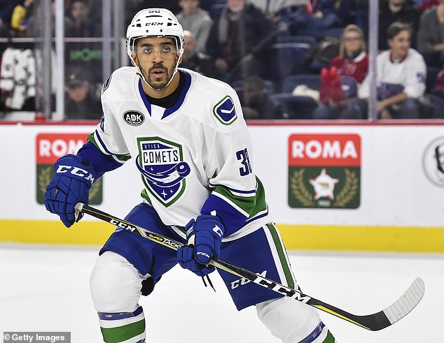 Matt Petgrave, pictured playing for the Utica Comets, was involved in an on-ice collision with Johnson during the Sheffield game last month