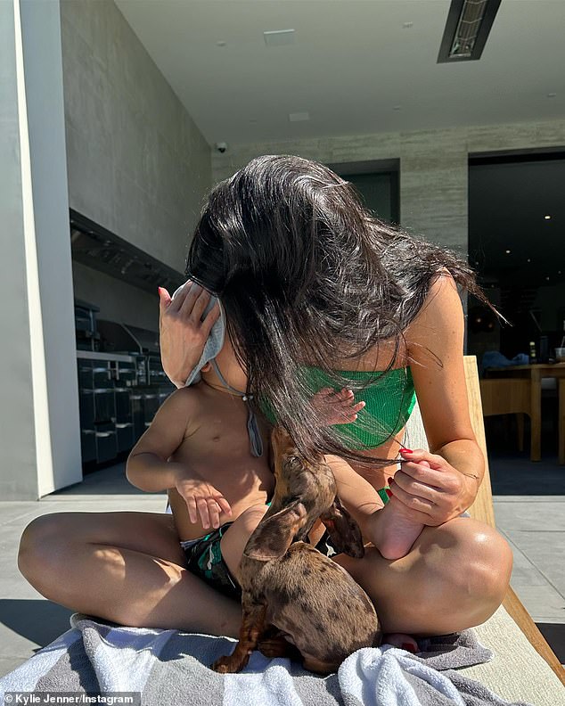 Lounging with her loved ones: In the snap, The Kardashians producer-star cradled her 21-month-old son Aire Webster and her eighth dog – a Dapple Dachshund named 'Moo Pants' – as she soaked up the sun in a green setting.  bikini