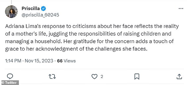 Inspirational: Many fans stood up for Lima, calling her 'response to criticism of her face' 'the reality of a mother's life, dealing with the responsibilities of raising children and managing a household' is inspiring