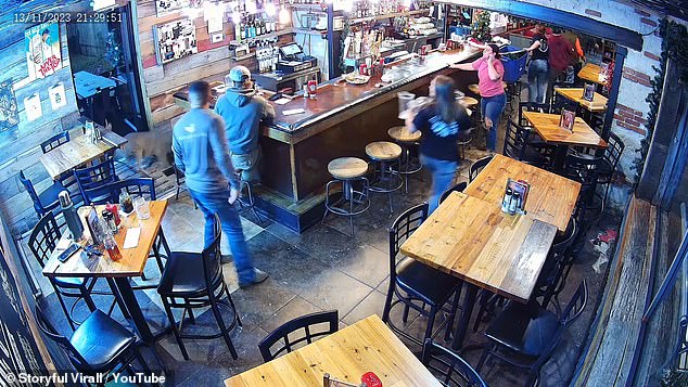 Another security camera captured the moment he jumped to the back of the restaurant and onto the patio, leaving both guests and staff in disbelief