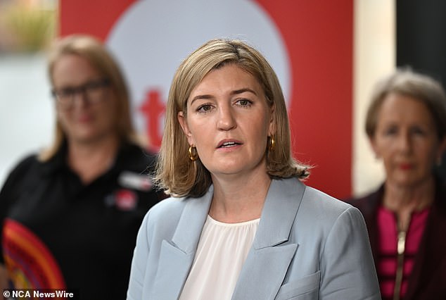 Queensland Health Minister Shannon Fentiman (pictured) has pledged to implement the findings of an investigation into Mr Irving's death and said health authorities would look at providing additional resources to Ipswich Hospital.