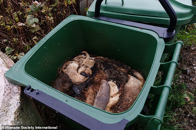 Piles of bodies in a container