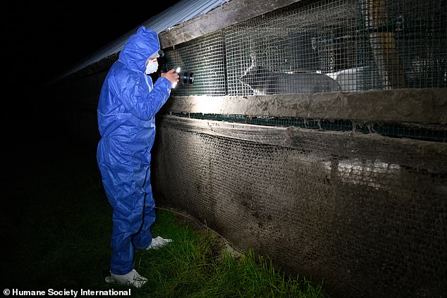 A researcher on one of the farms studied